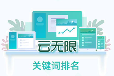 seo优化快速排名技术